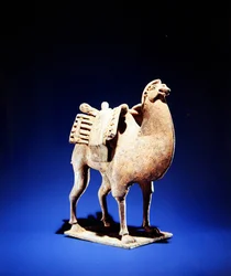 Kamel, Mitte bis Ende 6. Jahrhundert, Nördliche Wei (386-534)-Nördliche Qi (550-577) Dynastie