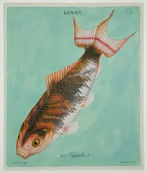 Le Superbe, graviert von Francois Nicholas Martinet