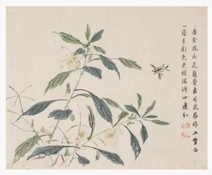 Garten des Senfkorns