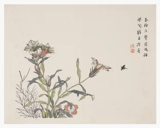 Garten der Senfsamen