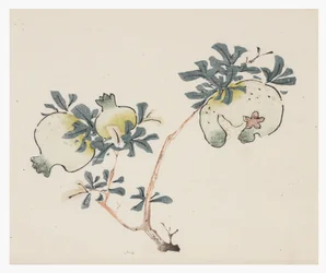 Zehn Bambus Serie, 18. Jahrhundert