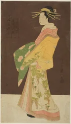 Eine Auswahl von Schönheiten aus den Vergnügungsvierteln (Seiro bisen awase): Hanamurasaki vom Tamaya in Prozession (Tamaya Hanamurasaki dochu no zu)