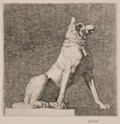 Ein sitzender Hund nach einer Antike in Charlottenborg