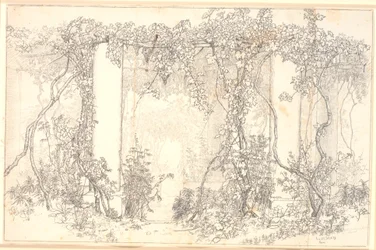 Studie einer Pergola auf Capri