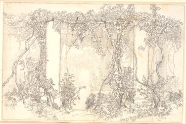 Studie einer Pergola auf Capri