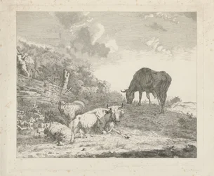 Landschaft mit Vieh