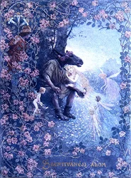 Illustration aus 