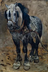 Pferd aus der Normandie