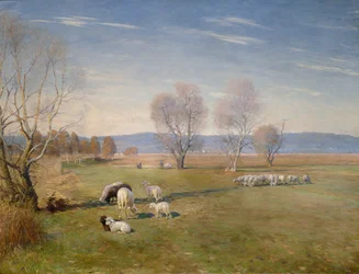 Landschaft mit Schafen