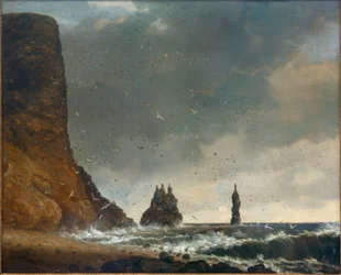 Felsige Küstenlandschaft auf Island