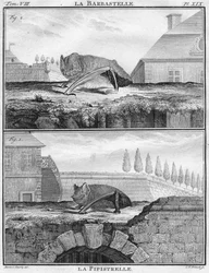 La Barbastelle & La Pipistrelle, ca. 1763