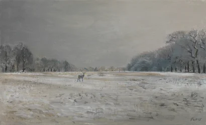 Hirsche im Schnee - Richmond Park, 2015