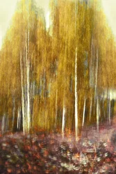 Abstrakter goldener Wald
