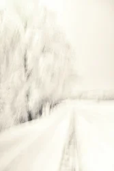 Träumiger Winterpfad