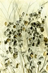 Ätherische botanische Formen
