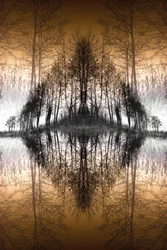 Spiegelnder Waldsee