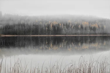 Nebliger Herbstsee
