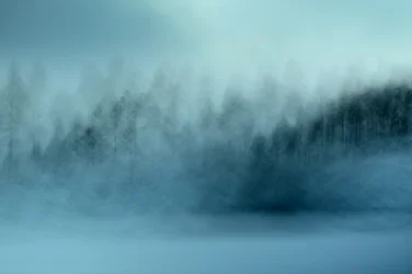 Nebliger Blauer Wald