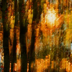 Lebendige Herbstbäume