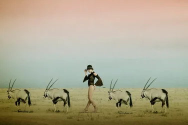 Wüstenwanderung mit Oryx