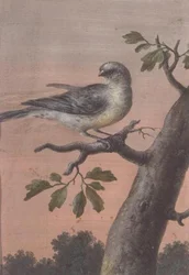 Vogel auf einem Ast