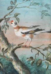 Ein Vogel auf einem Ast