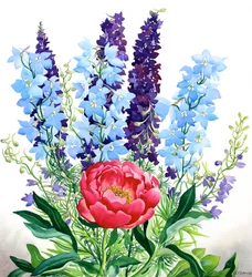 Blaue Delphinien