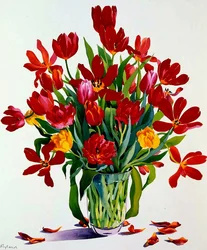 Tulpen