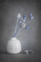 Stille Trockenblumen