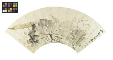 Lotusblüte und Blätter