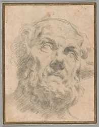Kopf eines alten Mannes, möglicherweise Seneca