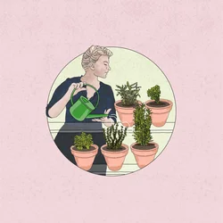 Kräutergarten, 2024