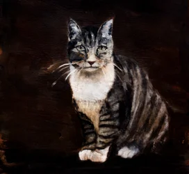 Elegante getigerte Katze