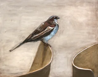 Ruhiger Spatz auf Zweig