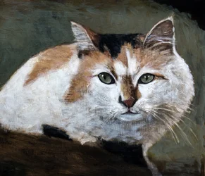 Wachsame Calico-Katze