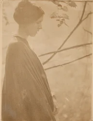 Sonnenlicht, 1899, gedruckt 1901