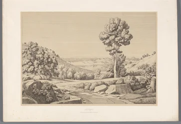 Landschaft mit Weg