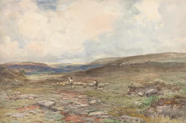 Moorlandschaft mit Schafen und Hirten