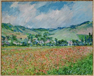 Mohnfeld