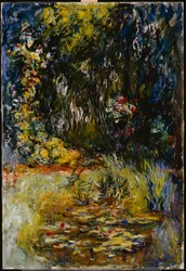 Ecke eines Teiches mit Seerosen