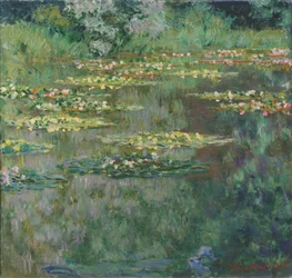 Der Seerosenteich