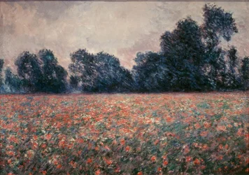 Die Mohnblumen in Giverny