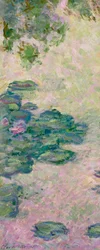 Seerosen (Fragment)