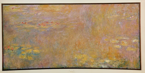 Seerosen