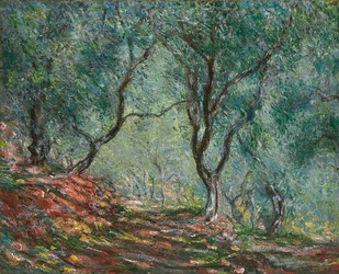 Olivenbäume im Moreno-Garten, 1884