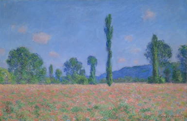 Mohnfeld (Giverny)