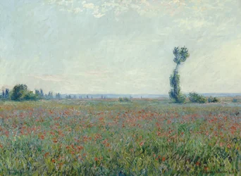 Mohnfeld, 1881