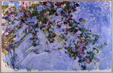 Die Rosen