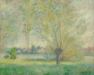 Die Weiden