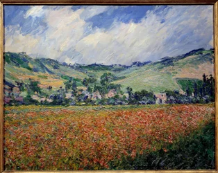 Das Mohnfeld